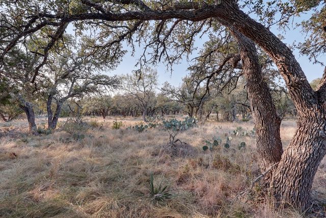 88 Wendel Rd, Harper, TX 78631