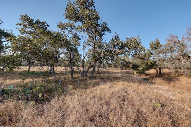 88 Wendel Rd, Harper, TX 78631