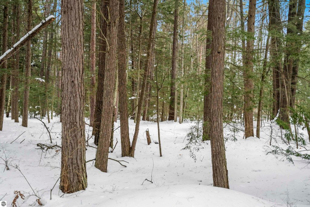 Image 20 of property listing at 14607 Pyatt Road, Traverse City, MI 49686