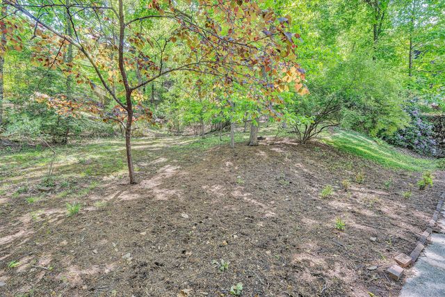 3010 Rosalind AVE, Roanoke, VA 24014