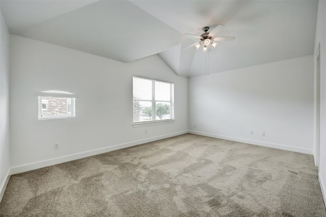 5941 South Loop E 1002, Houston, TX 77033