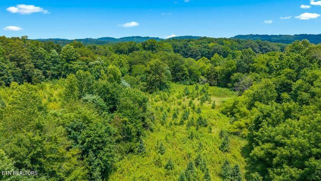 409 County Road 675, Riceville, TN 37370