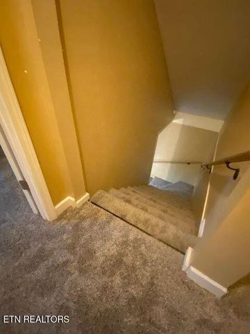 409 County Road 675, Riceville, TN 37370