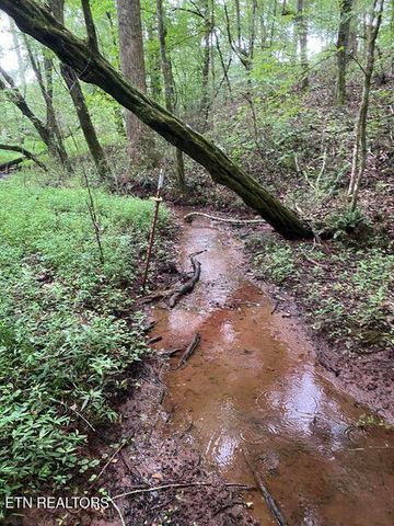 409 County Road 675, Riceville, TN 37370