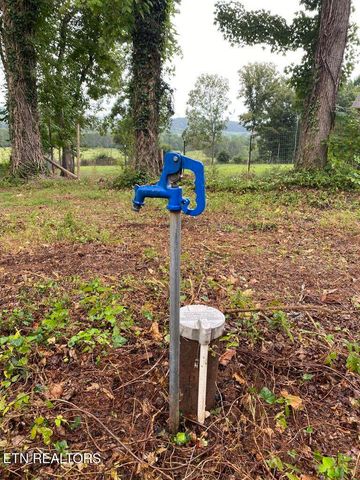 409 County Road 675, Riceville, TN 37370