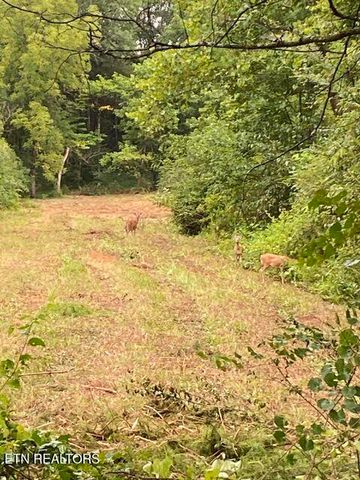 409 County Road 675, Riceville, TN 37370