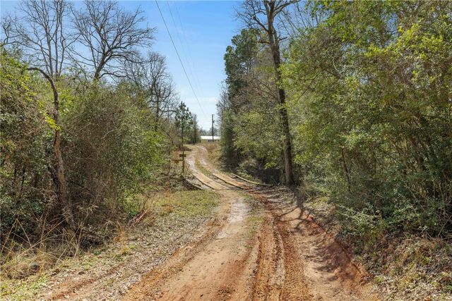 6671 Cotton Street, Bedias, TX 77831