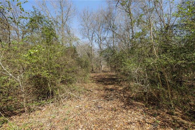 6671 Cotton Street, Bedias, TX 77831