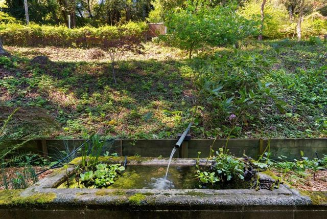 100 Camino Sinuoso, Scotts Valley, CA 95066