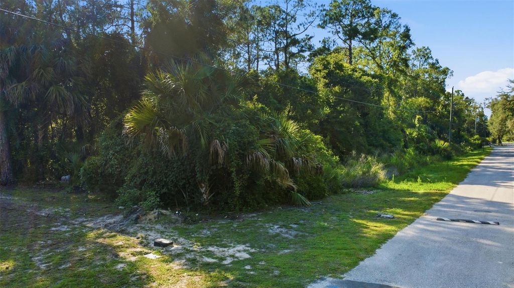 11100 W CEDAR LAKE DRIVE, Crystal River, FL 34428