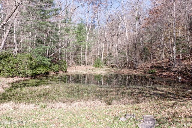 5334 Morgan County Hwy, Lancing, TN 37770