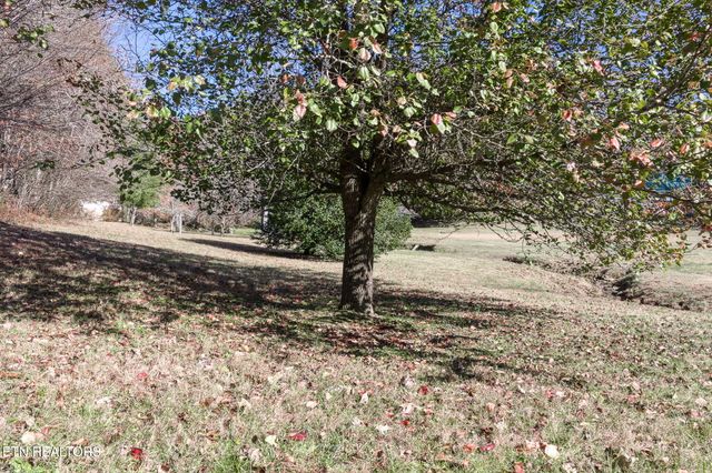 5334 Morgan County Hwy, Lancing, TN 37770