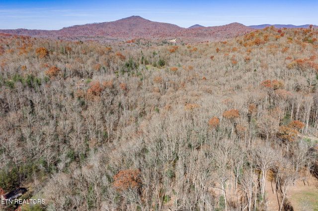 5334 Morgan County Hwy, Lancing, TN 37770