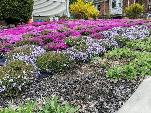 22 Ames St, Quincy, MA 02169