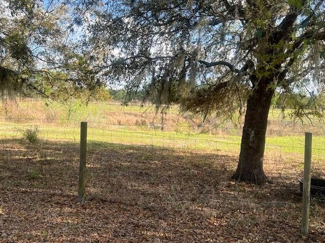 3301 HAMMOCK GROVE ROAD, Groveland, FL 34736