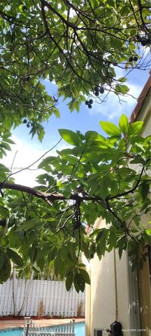 659 Verona Pl, Weston, FL 33326