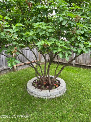 2906 W 29th Avenue, Anchorage, AK 99517