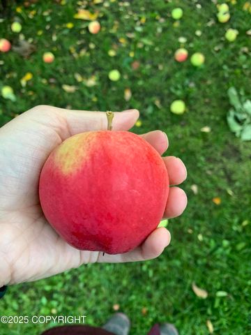 2906 W 29th Avenue, Anchorage, AK 99517