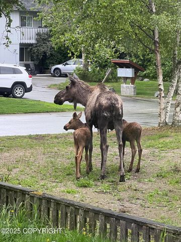 2906 W 29th Avenue, Anchorage, AK 99517