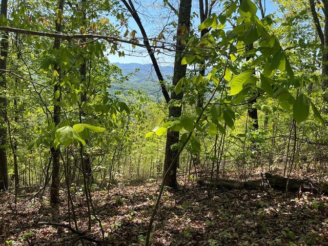 Lot 11J Ash Branch View, Hayesville, NC 28904