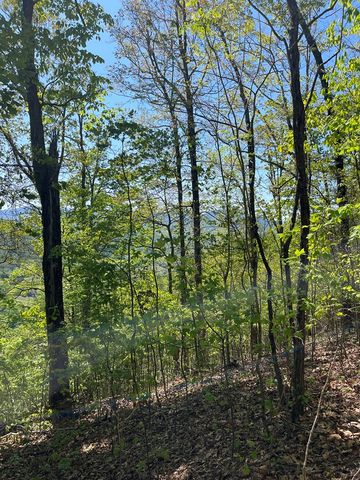 Lot 11J Ash Branch View, Hayesville, NC 28904