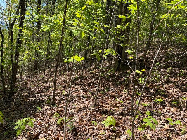 Lot 11J Ash Branch View, Hayesville, NC 28904