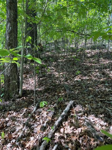 Lot 11J Ash Branch View, Hayesville, NC 28904