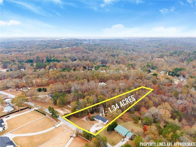 1384 Pocket Road, Braselton, GA 30517