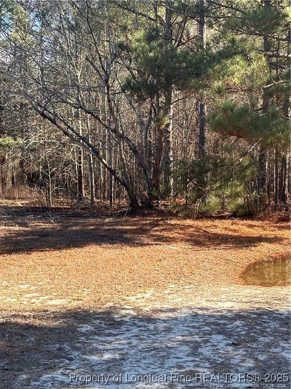 Love Grove Church Road, Sanford, NC 27332 — exterior