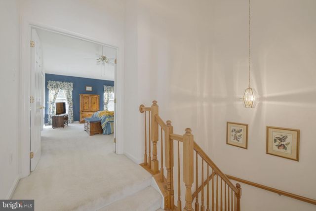 7826 DESIREE ST, Alexandria, VA 22315