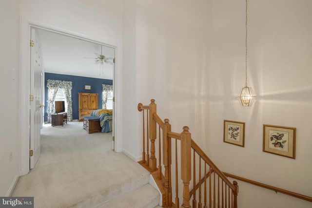 7826 DESIREE ST, Alexandria, VA 22315