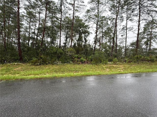 0 SW 176TH LOOP, Ocala, FL 34473