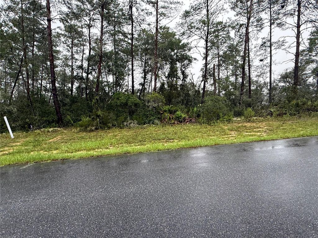 0 SW 176TH LOOP, Ocala, FL 34473