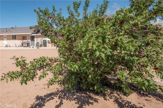 10707 Redwood, Hesperia, CA 92345