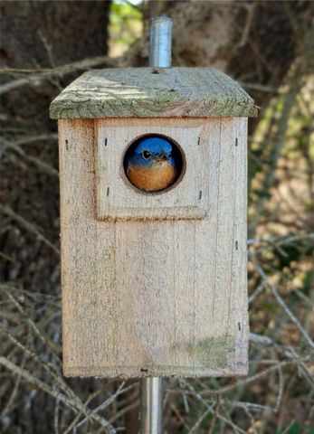 9487 Bauer Road, Fayetteville, TX 78940