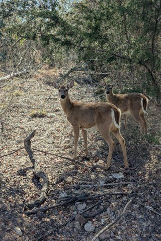 9487 Bauer Road, Fayetteville, TX 78940