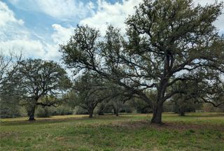 9487 Bauer Road, Fayetteville, TX 78940