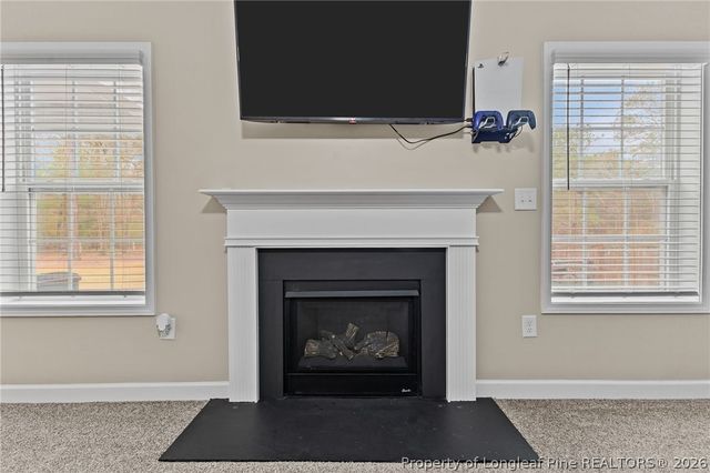 307 Mill Ridge Court, Godwin, NC 28344