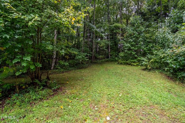 141 Barry Blevins Lane, Shady Valley, TN 37688