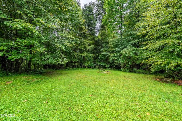 141 Barry Blevins Lane, Shady Valley, TN 37688