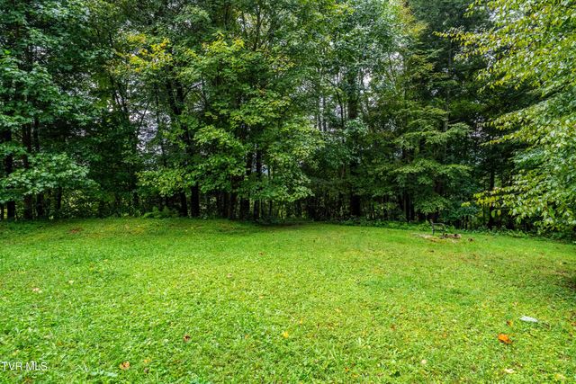 141 Barry Blevins Lane, Shady Valley, TN 37688