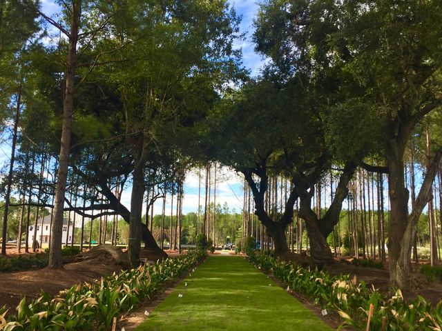 1035 Patagonia Street, Summerville, SC 29485