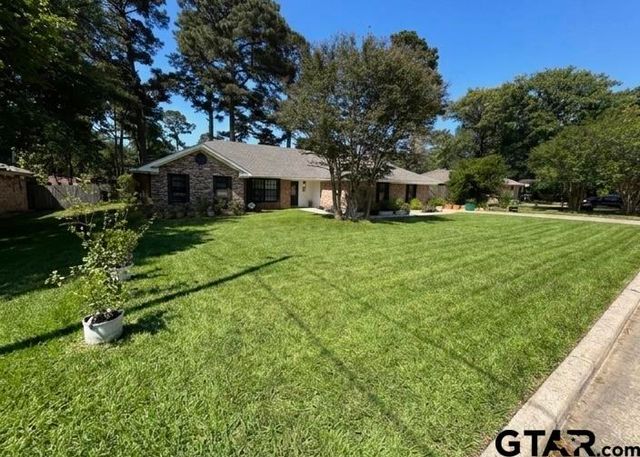 4392 Leaning Oaks Drive, Flint, TX 75762