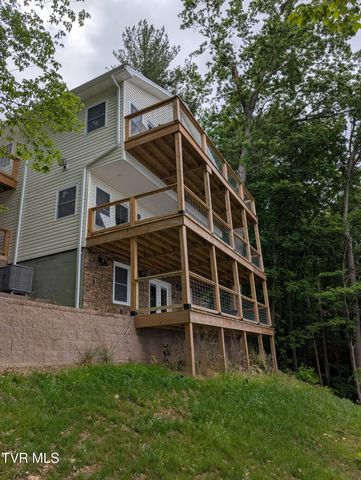 22125 Driftwood Lane, Abingdon, VA 24211