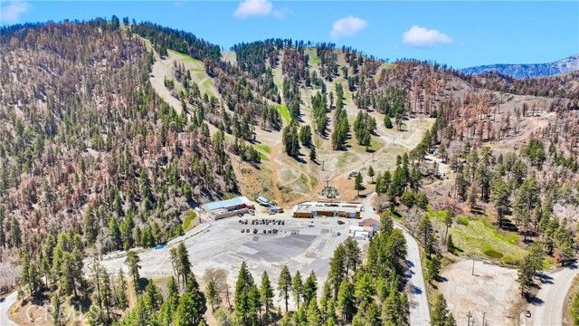 1056 Eagle Road, Wrightwood, CA 92397