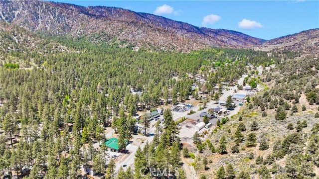1056 Eagle Road, Wrightwood, CA 92397
