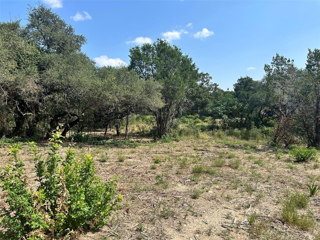 18310 Austin DR, Jonestown, TX 78645