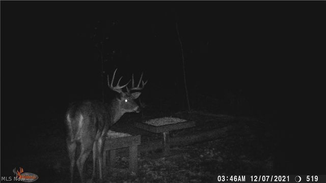 2315 Howland Wilson Road, Cortland, OH 44410