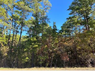 1157 Kaanapali LN, Bastrop, TX 78602
