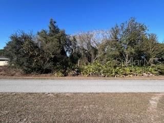 PARK (BLOCK 124 LOT 9) AVENUE, Indian Lake Estates, FL 33855